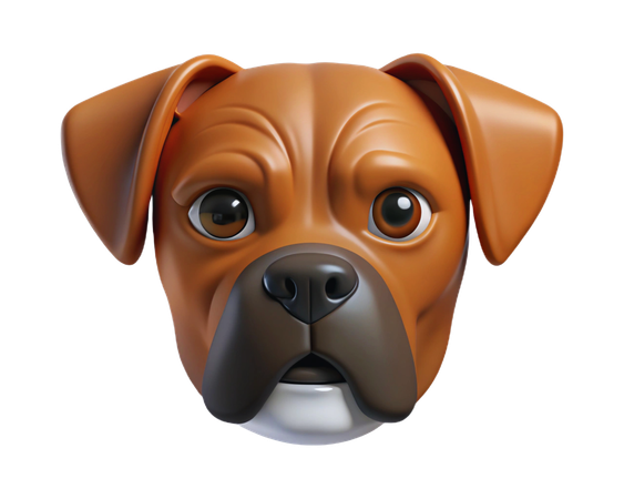 Boxer  3D Icon