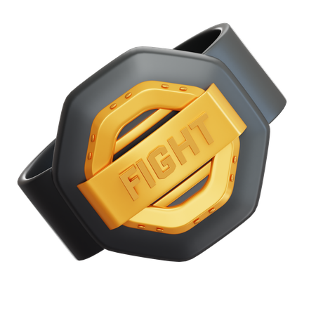 Boxgürtel  3D Icon