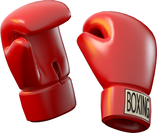 Boxhandschuhe  3D Icon