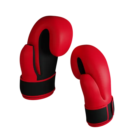 Boxing  3D Icon