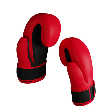 Boxing  3D Icon