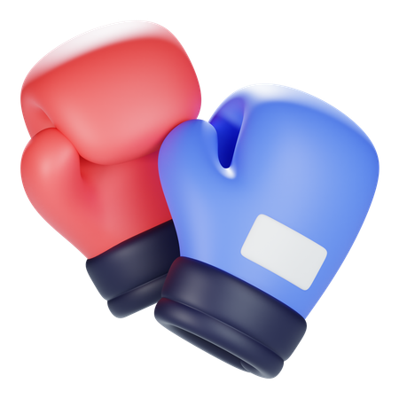 Boxing  3D Icon