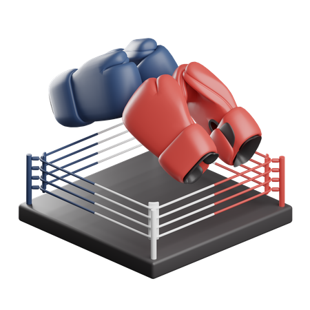 Boxing  3D Icon