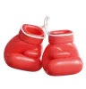 Boxing Glove