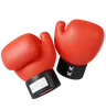Boxing Gloves