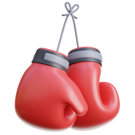Boxing Gloves Hanging  3D Icon