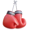 Boxing Gloves Hanging