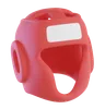 Boxing Helmet