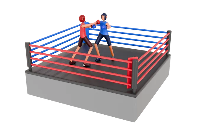 Boxing Sport  3D Illustration