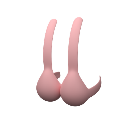 Bra  3D Icon