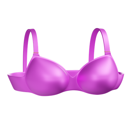 Bra  3D Illustration