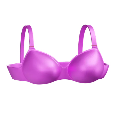 Bra  3D Illustration