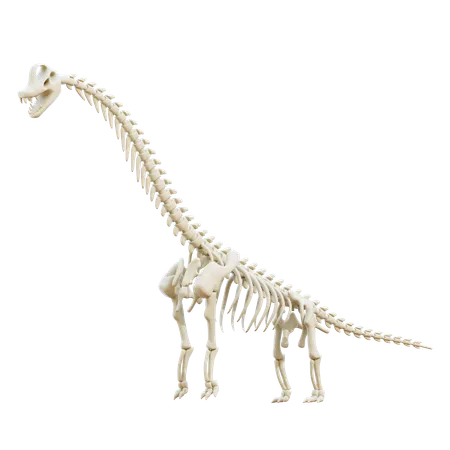 Brachiosaure  3D Icon