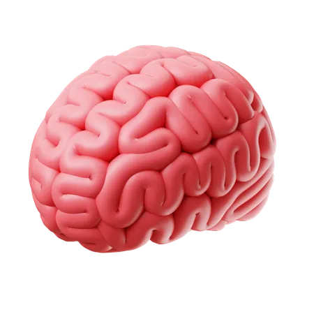 Brain 3 D Illlustration 3D Icon