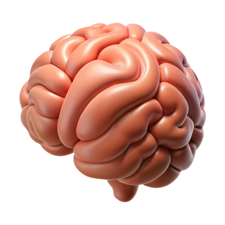 脳  3D Icon