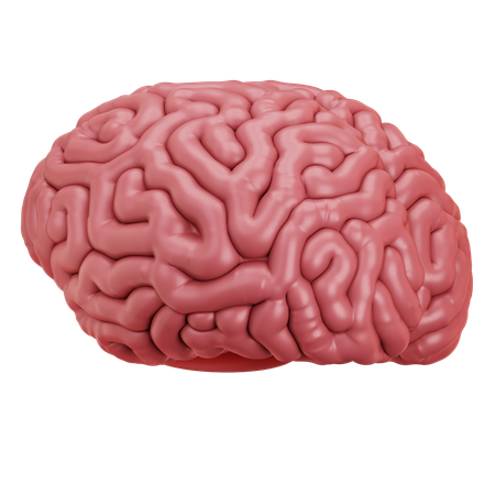 Brain  3D Icon