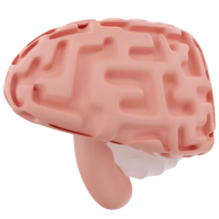 Brain  3D Icon