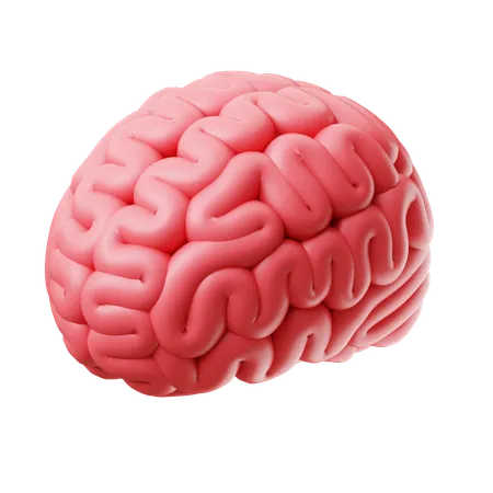 Brain  3D Icon