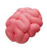 Brain