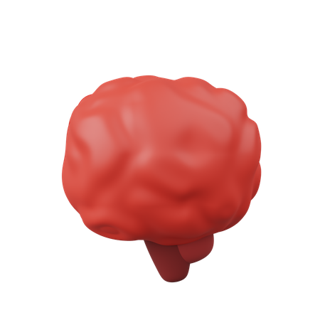 Brain  3D Icon