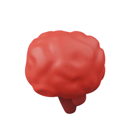 Brain  3D Icon