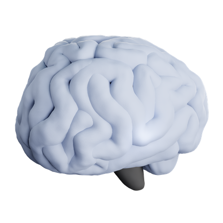 Brain  3D Icon