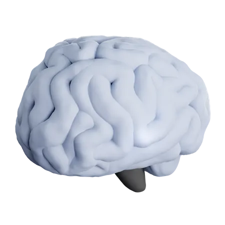 Brain  3D Icon