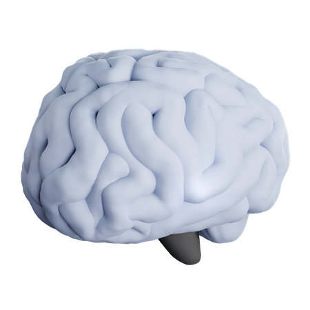Brain  3D Icon