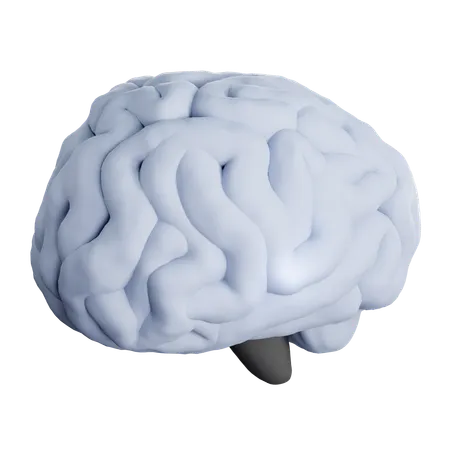 Brain  3D Icon