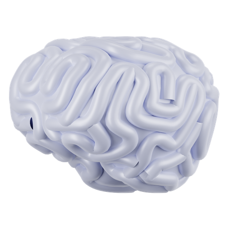 Brain  3D Icon