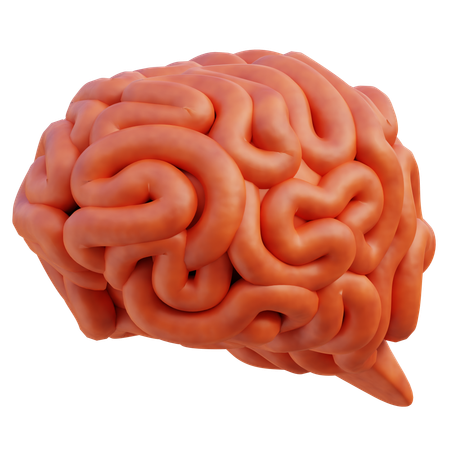 Brain  3D Icon