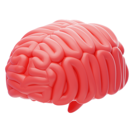 Brain  3D Icon