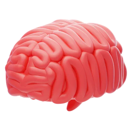 Brain  3D Icon