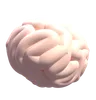 Brain