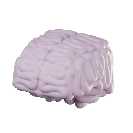 Brain  3D Icon