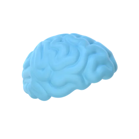 Brain  3D Icon