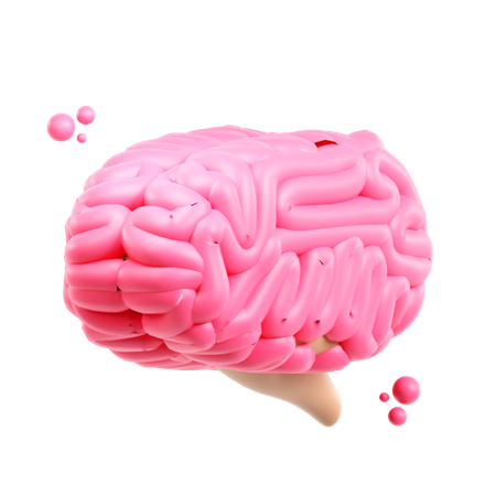 Brain  3D Icon