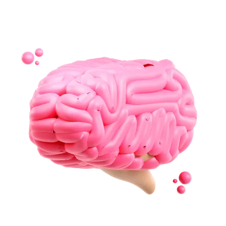 Brain  3D Icon