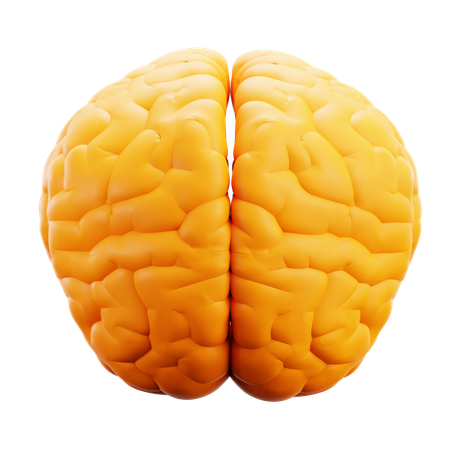 Brain  3D Icon