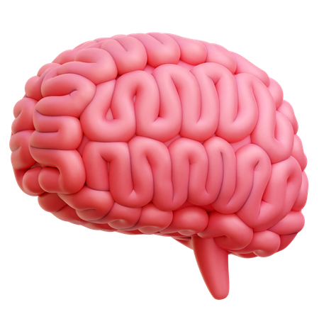 Brain  3D Icon