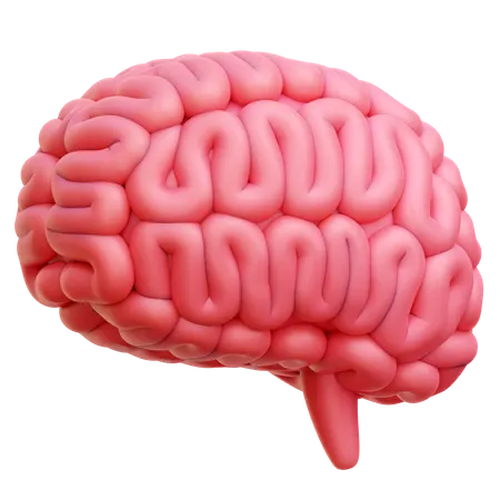 Brain  3D Icon