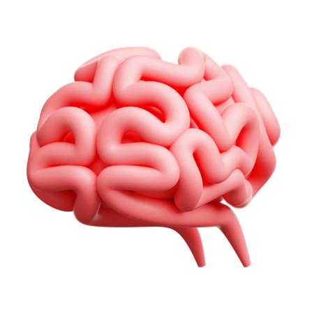 Brain  3D Icon