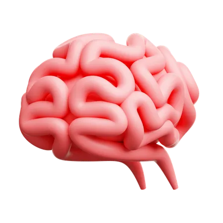 Brain  3D Icon
