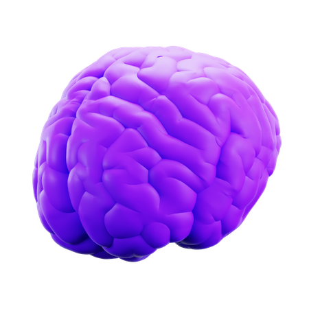 Brain  3D Icon