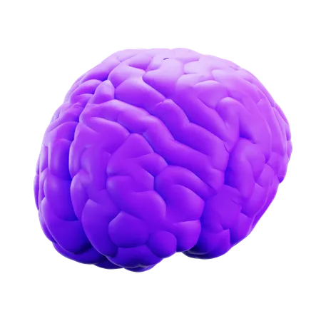 Brain  3D Icon