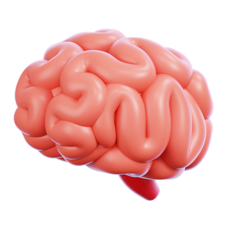 Brain  3D Icon