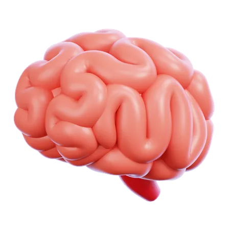 Brain  3D Icon