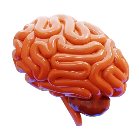 Brain  3D Icon