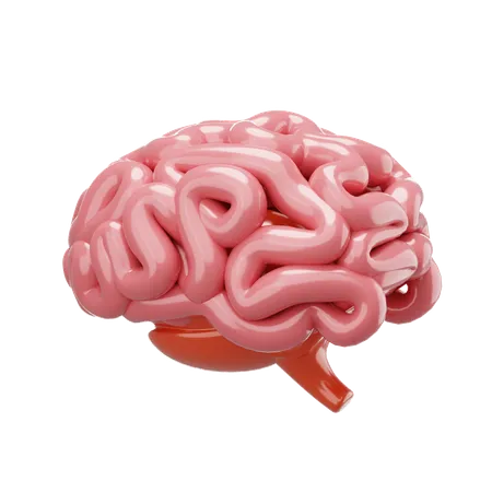 Brain  3D Icon