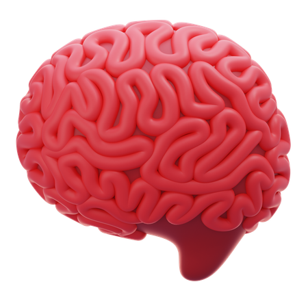 Brain  3D Icon